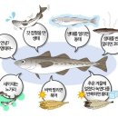 수니네 이미지