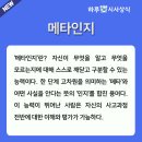 메타인지
