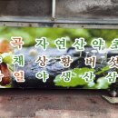 보은상회