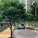 당현천길 이미지