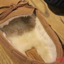 롯데수원슈스파