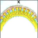 비야비야 이미지