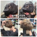 베짱이샵 네이버블로그