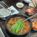광역투어(둘째주, 일) | 🌺 일상기록 | 2026년 4월 둘째 주, 대전 맛집투어와 세종 금강 벚꽃길 주간일상