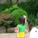 해맑은꼬마또래어린이집 이미지