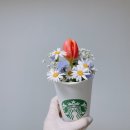 [W] Maison Reina 레이나그라피스튜디오 촬영 후기(feat. 원영 이모님, 아나뷰티 재경실장님, 그녀의...