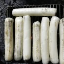 밀양스쿨캠핑장 이미지