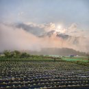 현자농장 이미지