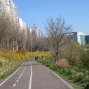 호계시장 이미지