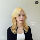 예쁨헤어 이미지