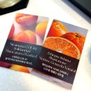 부산광역시 동구 중앙대로 | 부산 동구 부산역 스페셜티 커피 카페 추천 “스팅프리 커피웍스”