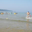 태안바다 이미지