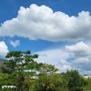 노브랜드버거 평택시청점 이미지