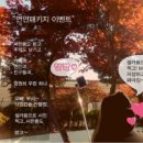 솔로몬전자 이미지