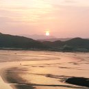 SY공인외국어번역행정사사무소 이미지