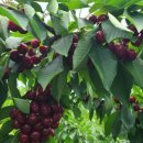 망상농장 이미지