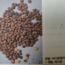팥죽이야기 이미지