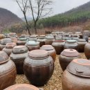 쌍지팡이 협동조합 | 예산협동조합 &#39;쌍지팡이 협동조합&#39; 김장체험학습