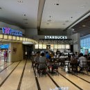 돌체노래연습장 이미지