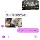 체인지노래타운 | 빵만 있다면 웬만한 슬픔은 견딜 수 있다