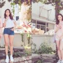 다솜 이미지