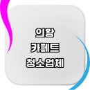 근처 카페트 청소 세탁 추천 잘하는곳 전문업체 방수 원형 타일 가격 후기 롤카페트 대형 케어 이케아