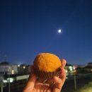 D00154 | 17일간의 유럽 여행 총정리 (이탈리아, 스위스, 프랑스, 벨기에)