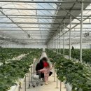 다인농장 이미지