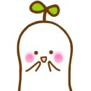 도테라아로마라운지 이미지
