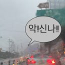 골드몬 이미지