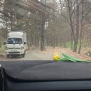 숲속의오리 이미지