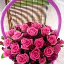 꽃가지화원 이미지