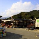 소설다방 Daum카페