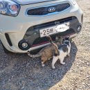 장수골길(와룡면) 이미지