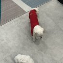 강서구-54 | 강서구점집 해현당 점사 후기