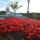 다산나정 이미지