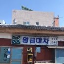 맘에들어황금마차 | 삼천포 황금마차 아구찜 내돈내산 후기 ft.고성 운흥사