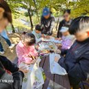 영덕천 이미지
