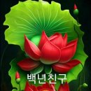 정(情) 이미지