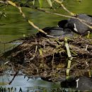 성광요양원 이미지