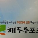 해두루사업단 네이버블로그