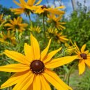 율곡수목원(1) 이미지