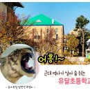 유달초등학교 이미지