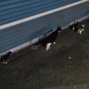 창동010 | 미루고 미뤄둔 일상(2)