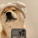 조이호텔 | 신도림 더링크호텔 혼주 헤어 후기ㅣ조이187더링크