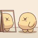 [경복궁역 국수 맛집] 종로 체부동 잔치집 내돈내산 후기