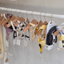 메리펫샵 이미지