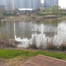 엽순공원(1) 이미지