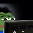 타이거 주짓수 이미지