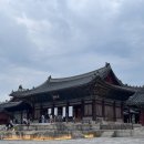 역사와 조우한 시간, 창경궁 야경 투어 인문학적으로 걷기
